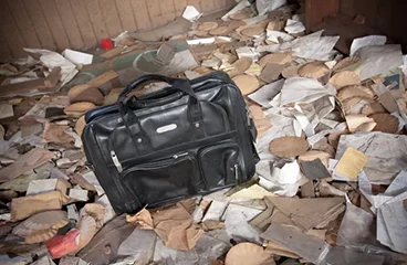 Messie Reinigung Hamburg , Messie Reinigung Bremen , Messie Reinigung Hannover , Messiereinigung , Messie Reinigung Oldenburg , Messie Reinigung Bremerhaven , Messie Reinigung Mecklemburg-Vorpommern